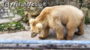 [P37]  -- <small>// FĂRĂ DESCRIERE</small> » foto by geani anto
 - 
<span class="allrVoted glyphicon glyphicon-heart hidden" id="av1509550"></span>
<a class="m-l-10 hidden" id="sv1509550" onclick="voting_Foto_DelVot(,1509550,11037)" role="button">șterge vot <span class="glyphicon glyphicon-remove"></span></a>
<a id="v91509550" class=" c-red"  onclick="voting_Foto_SetVot(1509550)" role="button"><span class="glyphicon glyphicon-heart-empty"></span> <b>LIKE</b> = Votează poza</a> <img class="hidden"  id="f1509550W9" src="/imagini/loader.gif" border="0" /><span class="AjErrMes hidden" id="e1509550ErM"></span>