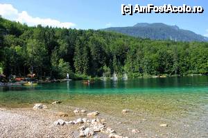 [P16] Lacul Bohinj » foto by cristi_an3000
 - 
<span class="allrVoted glyphicon glyphicon-heart hidden" id="av475327"></span>
<a class="m-l-10 hidden" id="sv475327" onclick="voting_Foto_DelVot(,475327,11040)" role="button">șterge vot <span class="glyphicon glyphicon-remove"></span></a>
<a id="v9475327" class=" c-red"  onclick="voting_Foto_SetVot(475327)" role="button"><span class="glyphicon glyphicon-heart-empty"></span> <b>LIKE</b> = Votează poza</a> <img class="hidden"  id="f475327W9" src="/imagini/loader.gif" border="0" /><span class="AjErrMes hidden" id="e475327ErM"></span>