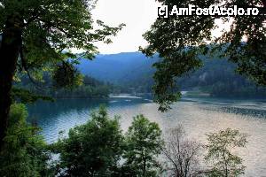 [P38] Lacul Bled - vedere de pe insula » foto by cristi_an3000
 - 
<span class="allrVoted glyphicon glyphicon-heart hidden" id="av475349"></span>
<a class="m-l-10 hidden" id="sv475349" onclick="voting_Foto_DelVot(,475349,11040)" role="button">șterge vot <span class="glyphicon glyphicon-remove"></span></a>
<a id="v9475349" class=" c-red"  onclick="voting_Foto_SetVot(475349)" role="button"><span class="glyphicon glyphicon-heart-empty"></span> <b>LIKE</b> = Votează poza</a> <img class="hidden"  id="f475349W9" src="/imagini/loader.gif" border="0" /><span class="AjErrMes hidden" id="e475349ErM"></span>
