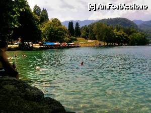 [P05] Lacul Bled - lumea face baie cu caini, nu e nicio restrictie » foto by cristi_an3000
 - 
<span class="allrVoted glyphicon glyphicon-heart hidden" id="av475316"></span>
<a class="m-l-10 hidden" id="sv475316" onclick="voting_Foto_DelVot(,475316,11040)" role="button">șterge vot <span class="glyphicon glyphicon-remove"></span></a>
<a id="v9475316" class=" c-red"  onclick="voting_Foto_SetVot(475316)" role="button"><span class="glyphicon glyphicon-heart-empty"></span> <b>LIKE</b> = Votează poza</a> <img class="hidden"  id="f475316W9" src="/imagini/loader.gif" border="0" /><span class="AjErrMes hidden" id="e475316ErM"></span>