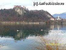 [P100]  -- <small>// FĂRĂ DESCRIERE</small> » foto by Alina53
 - 
<span class="allrVoted glyphicon glyphicon-heart hidden" id="av297712"></span>
<a class="m-l-10 hidden" id="sv297712" onclick="voting_Foto_DelVot(,297712,11040)" role="button">șterge vot <span class="glyphicon glyphicon-remove"></span></a>
<a id="v9297712" class=" c-red"  onclick="voting_Foto_SetVot(297712)" role="button"><span class="glyphicon glyphicon-heart-empty"></span> <b>LIKE</b> = Votează poza</a> <img class="hidden"  id="f297712W9" src="/imagini/loader.gif" border="0" /><span class="AjErrMes hidden" id="e297712ErM"></span>