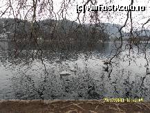[P117]  -- <small>// FĂRĂ DESCRIERE</small> » foto by Alina53
 - 
<span class="allrVoted glyphicon glyphicon-heart hidden" id="av297731"></span>
<a class="m-l-10 hidden" id="sv297731" onclick="voting_Foto_DelVot(,297731,11040)" role="button">șterge vot <span class="glyphicon glyphicon-remove"></span></a>
<a id="v9297731" class=" c-red"  onclick="voting_Foto_SetVot(297731)" role="button"><span class="glyphicon glyphicon-heart-empty"></span> <b>LIKE</b> = Votează poza</a> <img class="hidden"  id="f297731W9" src="/imagini/loader.gif" border="0" /><span class="AjErrMes hidden" id="e297731ErM"></span>