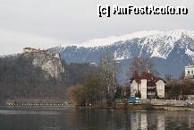 [P125]  -- <small>// FĂRĂ DESCRIERE</small> » foto by Alina53
 - 
<span class="allrVoted glyphicon glyphicon-heart hidden" id="av297742"></span>
<a class="m-l-10 hidden" id="sv297742" onclick="voting_Foto_DelVot(,297742,11040)" role="button">șterge vot <span class="glyphicon glyphicon-remove"></span></a>
<a id="v9297742" class=" c-red"  onclick="voting_Foto_SetVot(297742)" role="button"><span class="glyphicon glyphicon-heart-empty"></span> <b>LIKE</b> = Votează poza</a> <img class="hidden"  id="f297742W9" src="/imagini/loader.gif" border="0" /><span class="AjErrMes hidden" id="e297742ErM"></span>