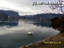 [P41] Stapana peste frumusetea lacului » foto by Alina53
 - 
<span class="allrVoted glyphicon glyphicon-heart hidden" id="av297628"></span>
<a class="m-l-10 hidden" id="sv297628" onclick="voting_Foto_DelVot(,297628,11040)" role="button">șterge vot <span class="glyphicon glyphicon-remove"></span></a>
<a id="v9297628" class=" c-red"  onclick="voting_Foto_SetVot(297628)" role="button"><span class="glyphicon glyphicon-heart-empty"></span> <b>LIKE</b> = Votează poza</a> <img class="hidden"  id="f297628W9" src="/imagini/loader.gif" border="0" /><span class="AjErrMes hidden" id="e297628ErM"></span>