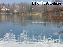 [P99]  -- <small>// FĂRĂ DESCRIERE</small> » foto by Alina53
 - 
<span class="allrVoted glyphicon glyphicon-heart hidden" id="av297711"></span>
<a class="m-l-10 hidden" id="sv297711" onclick="voting_Foto_DelVot(,297711,11040)" role="button">șterge vot <span class="glyphicon glyphicon-remove"></span></a>
<a id="v9297711" class=" c-red"  onclick="voting_Foto_SetVot(297711)" role="button"><span class="glyphicon glyphicon-heart-empty"></span> <b>LIKE</b> = Votează poza</a> <img class="hidden"  id="f297711W9" src="/imagini/loader.gif" border="0" /><span class="AjErrMes hidden" id="e297711ErM"></span>
