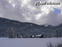 [P11] Slovenia » foto by sigcristina
 - 
<span class="allrVoted glyphicon glyphicon-heart hidden" id="av295270"></span>
<a class="m-l-10 hidden" id="sv295270" onclick="voting_Foto_DelVot(,295270,11040)" role="button">șterge vot <span class="glyphicon glyphicon-remove"></span></a>
<a id="v9295270" class=" c-red"  onclick="voting_Foto_SetVot(295270)" role="button"><span class="glyphicon glyphicon-heart-empty"></span> <b>LIKE</b> = Votează poza</a> <img class="hidden"  id="f295270W9" src="/imagini/loader.gif" border="0" /><span class="AjErrMes hidden" id="e295270ErM"></span>