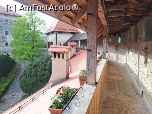 [P22] Castelul Bled » foto by zlatna
 - 
<span class="allrVoted glyphicon glyphicon-heart hidden" id="av1508638"></span>
<a class="m-l-10 hidden" id="sv1508638" onclick="voting_Foto_DelVot(,1508638,11040)" role="button">șterge vot <span class="glyphicon glyphicon-remove"></span></a>
<a id="v91508638" class=" c-red"  onclick="voting_Foto_SetVot(1508638)" role="button"><span class="glyphicon glyphicon-heart-empty"></span> <b>LIKE</b> = Votează poza</a> <img class="hidden"  id="f1508638W9" src="/imagini/loader.gif" border="0" /><span class="AjErrMes hidden" id="e1508638ErM"></span>