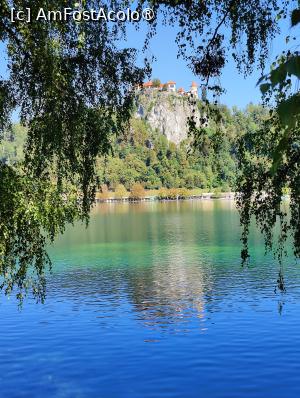 [P20] La plimbare în jurul lacului Bled » foto by crismis
 - 
<span class="allrVoted glyphicon glyphicon-heart hidden" id="av1513815"></span>
<a class="m-l-10 hidden" id="sv1513815" onclick="voting_Foto_DelVot(,1513815,11040)" role="button">șterge vot <span class="glyphicon glyphicon-remove"></span></a>
<a id="v91513815" class=" c-red"  onclick="voting_Foto_SetVot(1513815)" role="button"><span class="glyphicon glyphicon-heart-empty"></span> <b>LIKE</b> = Votează poza</a> <img class="hidden"  id="f1513815W9" src="/imagini/loader.gif" border="0" /><span class="AjErrMes hidden" id="e1513815ErM"></span>