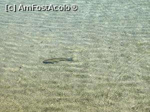 [P33] La plimbare în jurul lacului Bled » foto by crismis
 - 
<span class="allrVoted glyphicon glyphicon-heart hidden" id="av1513824"></span>
<a class="m-l-10 hidden" id="sv1513824" onclick="voting_Foto_DelVot(,1513824,11040)" role="button">șterge vot <span class="glyphicon glyphicon-remove"></span></a>
<a id="v91513824" class=" c-red"  onclick="voting_Foto_SetVot(1513824)" role="button"><span class="glyphicon glyphicon-heart-empty"></span> <b>LIKE</b> = Votează poza</a> <img class="hidden"  id="f1513824W9" src="/imagini/loader.gif" border="0" /><span class="AjErrMes hidden" id="e1513824ErM"></span>