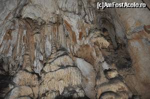 [P18]  -- <small>// FĂRĂ DESCRIERE</small> » foto by alunelu69
 - 
<span class="allrVoted glyphicon glyphicon-heart hidden" id="av674409"></span>
<a class="m-l-10 hidden" id="sv674409" onclick="voting_Foto_DelVot(,674409,11045)" role="button">șterge vot <span class="glyphicon glyphicon-remove"></span></a>
<a id="v9674409" class=" c-red"  onclick="voting_Foto_SetVot(674409)" role="button"><span class="glyphicon glyphicon-heart-empty"></span> <b>LIKE</b> = Votează poza</a> <img class="hidden"  id="f674409W9" src="/imagini/loader.gif" border="0" /><span class="AjErrMes hidden" id="e674409ErM"></span>