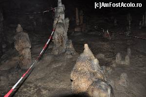 [P20]  -- <small>// FĂRĂ DESCRIERE</small> » foto by alunelu69
 - 
<span class="allrVoted glyphicon glyphicon-heart hidden" id="av674412"></span>
<a class="m-l-10 hidden" id="sv674412" onclick="voting_Foto_DelVot(,674412,11045)" role="button">șterge vot <span class="glyphicon glyphicon-remove"></span></a>
<a id="v9674412" class=" c-red"  onclick="voting_Foto_SetVot(674412)" role="button"><span class="glyphicon glyphicon-heart-empty"></span> <b>LIKE</b> = Votează poza</a> <img class="hidden"  id="f674412W9" src="/imagini/loader.gif" border="0" /><span class="AjErrMes hidden" id="e674412ErM"></span>