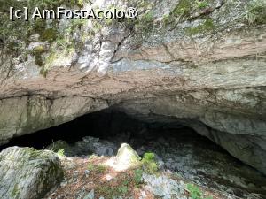 [P03]  -- <small>// FĂRĂ DESCRIERE</small> » foto by ux138476
 - 
<span class="allrVoted glyphicon glyphicon-heart hidden" id="av1494822"></span>
<a class="m-l-10 hidden" id="sv1494822" onclick="voting_Foto_DelVot(,1494822,11045)" role="button">șterge vot <span class="glyphicon glyphicon-remove"></span></a>
<a id="v91494822" class=" c-red"  onclick="voting_Foto_SetVot(1494822)" role="button"><span class="glyphicon glyphicon-heart-empty"></span> <b>LIKE</b> = Votează poza</a> <img class="hidden"  id="f1494822W9" src="/imagini/loader.gif" border="0" /><span class="AjErrMes hidden" id="e1494822ErM"></span>