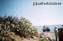 [P14] Tufe cu fundite legate pentru consolidarea iubirii celor care-au trecut pe la Stinca Afroditei » foto by Swan1
 - 
<span class="allrVoted glyphicon glyphicon-heart hidden" id="av296196"></span>
<a class="m-l-10 hidden" id="sv296196" onclick="voting_Foto_DelVot(,296196,11054)" role="button">șterge vot <span class="glyphicon glyphicon-remove"></span></a>
<a id="v9296196" class=" c-red"  onclick="voting_Foto_SetVot(296196)" role="button"><span class="glyphicon glyphicon-heart-empty"></span> <b>LIKE</b> = Votează poza</a> <img class="hidden"  id="f296196W9" src="/imagini/loader.gif" border="0" /><span class="AjErrMes hidden" id="e296196ErM"></span>