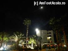 [P10] feerie de noapte cu palmieri si luna » foto by nicoletass
 - 
<span class="allrVoted glyphicon glyphicon-heart hidden" id="av296311"></span>
<a class="m-l-10 hidden" id="sv296311" onclick="voting_Foto_DelVot(,296311,11061)" role="button">șterge vot <span class="glyphicon glyphicon-remove"></span></a>
<a id="v9296311" class=" c-red"  onclick="voting_Foto_SetVot(296311)" role="button"><span class="glyphicon glyphicon-heart-empty"></span> <b>LIKE</b> = Votează poza</a> <img class="hidden"  id="f296311W9" src="/imagini/loader.gif" border="0" /><span class="AjErrMes hidden" id="e296311ErM"></span>