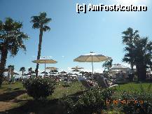 [P04] daca nu doresti sa stai pe nisip, majoritatea hotelurilor au amenajata 'plaja' verde, pe iarba, printre palmieri » foto by nicoletass
 - 
<span class="allrVoted glyphicon glyphicon-heart hidden" id="av296301"></span>
<a class="m-l-10 hidden" id="sv296301" onclick="voting_Foto_DelVot(,296301,11061)" role="button">șterge vot <span class="glyphicon glyphicon-remove"></span></a>
<a id="v9296301" class=" c-red"  onclick="voting_Foto_SetVot(296301)" role="button"><span class="glyphicon glyphicon-heart-empty"></span> <b>LIKE</b> = Votează poza</a> <img class="hidden"  id="f296301W9" src="/imagini/loader.gif" border="0" /><span class="AjErrMes hidden" id="e296301ErM"></span>