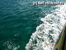 [P05] Aici e verde! E greu sa spui ce culoare are Mediterana in acest colt de lume. » foto by nicoletass
 - 
<span class="allrVoted glyphicon glyphicon-heart hidden" id="av297276"></span>
<a class="m-l-10 hidden" id="sv297276" onclick="voting_Foto_DelVot(,297276,11061)" role="button">șterge vot <span class="glyphicon glyphicon-remove"></span></a>
<a id="v9297276" class=" c-red"  onclick="voting_Foto_SetVot(297276)" role="button"><span class="glyphicon glyphicon-heart-empty"></span> <b>LIKE</b> = Votează poza</a> <img class="hidden"  id="f297276W9" src="/imagini/loader.gif" border="0" /><span class="AjErrMes hidden" id="e297276ErM"></span>