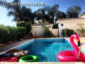 [P01] Piscina de la villa noastra » foto by Pucca
 - 
<span class="allrVoted glyphicon glyphicon-heart hidden" id="av878557"></span>
<a class="m-l-10 hidden" id="sv878557" onclick="voting_Foto_DelVot(,878557,11061)" role="button">șterge vot <span class="glyphicon glyphicon-remove"></span></a>
<a id="v9878557" class=" c-red"  onclick="voting_Foto_SetVot(878557)" role="button"><span class="glyphicon glyphicon-heart-empty"></span> <b>LIKE</b> = Votează poza</a> <img class="hidden"  id="f878557W9" src="/imagini/loader.gif" border="0" /><span class="AjErrMes hidden" id="e878557ErM"></span>