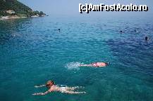 [P06]  -- <small>// FĂRĂ DESCRIERE</small> » foto by miaboro
 - 
<span class="allrVoted glyphicon glyphicon-heart hidden" id="av495373"></span>
<a class="m-l-10 hidden" id="sv495373" onclick="voting_Foto_DelVot(,495373,11067)" role="button">șterge vot <span class="glyphicon glyphicon-remove"></span></a>
<a id="v9495373" class=" c-red"  onclick="voting_Foto_SetVot(495373)" role="button"><span class="glyphicon glyphicon-heart-empty"></span> <b>LIKE</b> = Votează poza</a> <img class="hidden"  id="f495373W9" src="/imagini/loader.gif" border="0" /><span class="AjErrMes hidden" id="e495373ErM"></span>