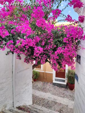 [P01] La pas prin Ano Syros » foto by crismis
 - 
<span class="allrVoted glyphicon glyphicon-heart hidden" id="av1473835"></span>
<a class="m-l-10 hidden" id="sv1473835" onclick="voting_Foto_DelVot(,1473835,11071)" role="button">șterge vot <span class="glyphicon glyphicon-remove"></span></a>
<a id="v91473835" class=" c-red"  onclick="voting_Foto_SetVot(1473835)" role="button"><span class="glyphicon glyphicon-heart-empty"></span> <b>LIKE</b> = Votează poza</a> <img class="hidden"  id="f1473835W9" src="/imagini/loader.gif" border="0" /><span class="AjErrMes hidden" id="e1473835ErM"></span>