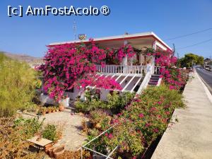 [P67] O casă îmbrăcată în bougainvillea în Posidonia » foto by crismis
 - 
<span class="allrVoted glyphicon glyphicon-heart hidden" id="av1473901"></span>
<a class="m-l-10 hidden" id="sv1473901" onclick="voting_Foto_DelVot(,1473901,11071)" role="button">șterge vot <span class="glyphicon glyphicon-remove"></span></a>
<a id="v91473901" class=" c-red"  onclick="voting_Foto_SetVot(1473901)" role="button"><span class="glyphicon glyphicon-heart-empty"></span> <b>LIKE</b> = Votează poza</a> <img class="hidden"  id="f1473901W9" src="/imagini/loader.gif" border="0" /><span class="AjErrMes hidden" id="e1473901ErM"></span>