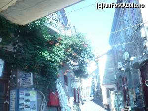 [P30] strada in Molyvos » foto by maria.enescu
 - 
<span class="allrVoted glyphicon glyphicon-heart hidden" id="av561918"></span>
<a class="m-l-10 hidden" id="sv561918" onclick="voting_Foto_DelVot(,561918,11090)" role="button">șterge vot <span class="glyphicon glyphicon-remove"></span></a>
<a id="v9561918" class=" c-red"  onclick="voting_Foto_SetVot(561918)" role="button"><span class="glyphicon glyphicon-heart-empty"></span> <b>LIKE</b> = Votează poza</a> <img class="hidden"  id="f561918W9" src="/imagini/loader.gif" border="0" /><span class="AjErrMes hidden" id="e561918ErM"></span>