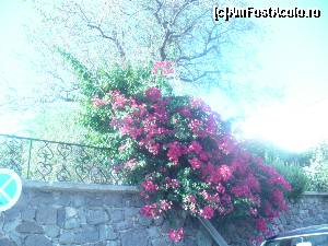 [P32] Molyvos » foto by maria.enescu
 - 
<span class="allrVoted glyphicon glyphicon-heart hidden" id="av561921"></span>
<a class="m-l-10 hidden" id="sv561921" onclick="voting_Foto_DelVot(,561921,11090)" role="button">șterge vot <span class="glyphicon glyphicon-remove"></span></a>
<a id="v9561921" class=" c-red"  onclick="voting_Foto_SetVot(561921)" role="button"><span class="glyphicon glyphicon-heart-empty"></span> <b>LIKE</b> = Votează poza</a> <img class="hidden"  id="f561921W9" src="/imagini/loader.gif" border="0" /><span class="AjErrMes hidden" id="e561921ErM"></span>