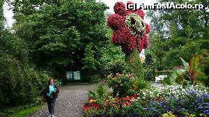 [P15] O floare de bun venit-Insula Mainau » foto by GIN2015*
 - 
<span class="allrVoted glyphicon glyphicon-heart hidden" id="av651447"></span>
<a class="m-l-10 hidden" id="sv651447" onclick="voting_Foto_DelVot(,651447,11101)" role="button">șterge vot <span class="glyphicon glyphicon-remove"></span></a>
<a id="v9651447" class=" c-red"  onclick="voting_Foto_SetVot(651447)" role="button"><span class="glyphicon glyphicon-heart-empty"></span> <b>LIKE</b> = Votează poza</a> <img class="hidden"  id="f651447W9" src="/imagini/loader.gif" border="0" /><span class="AjErrMes hidden" id="e651447ErM"></span>