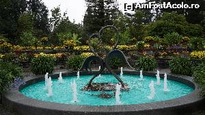 [P21] Dans-Insula Mainau » foto by GIN2015*
 - 
<span class="allrVoted glyphicon glyphicon-heart hidden" id="av651453"></span>
<a class="m-l-10 hidden" id="sv651453" onclick="voting_Foto_DelVot(,651453,11101)" role="button">șterge vot <span class="glyphicon glyphicon-remove"></span></a>
<a id="v9651453" class=" c-red"  onclick="voting_Foto_SetVot(651453)" role="button"><span class="glyphicon glyphicon-heart-empty"></span> <b>LIKE</b> = Votează poza</a> <img class="hidden"  id="f651453W9" src="/imagini/loader.gif" border="0" /><span class="AjErrMes hidden" id="e651453ErM"></span>