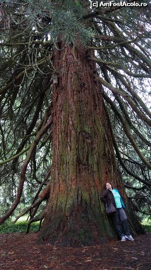 [P22] Uriasul-Insula Mainau » foto by GIN2015*
 - 
<span class="allrVoted glyphicon glyphicon-heart hidden" id="av651454"></span>
<a class="m-l-10 hidden" id="sv651454" onclick="voting_Foto_DelVot(,651454,11101)" role="button">șterge vot <span class="glyphicon glyphicon-remove"></span></a>
<a id="v9651454" class=" c-red"  onclick="voting_Foto_SetVot(651454)" role="button"><span class="glyphicon glyphicon-heart-empty"></span> <b>LIKE</b> = Votează poza</a> <img class="hidden"  id="f651454W9" src="/imagini/loader.gif" border="0" /><span class="AjErrMes hidden" id="e651454ErM"></span>