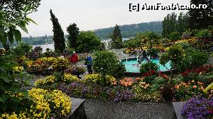 [P24] Vedere spre lac-Insula Mainau » foto by GIN2015*
 - 
<span class="allrVoted glyphicon glyphicon-heart hidden" id="av651456"></span>
<a class="m-l-10 hidden" id="sv651456" onclick="voting_Foto_DelVot(,651456,11101)" role="button">șterge vot <span class="glyphicon glyphicon-remove"></span></a>
<a id="v9651456" class=" c-red"  onclick="voting_Foto_SetVot(651456)" role="button"><span class="glyphicon glyphicon-heart-empty"></span> <b>LIKE</b> = Votează poza</a> <img class="hidden"  id="f651456W9" src="/imagini/loader.gif" border="0" /><span class="AjErrMes hidden" id="e651456ErM"></span>