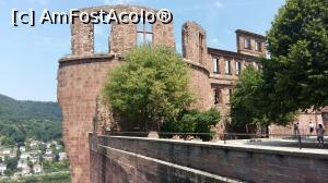 [P11] Castelul Heidelberg » foto by scoty
 - 
<span class="allrVoted glyphicon glyphicon-heart hidden" id="av931961"></span>
<a class="m-l-10 hidden" id="sv931961" onclick="voting_Foto_DelVot(,931961,11101)" role="button">șterge vot <span class="glyphicon glyphicon-remove"></span></a>
<a id="v9931961" class=" c-red"  onclick="voting_Foto_SetVot(931961)" role="button"><span class="glyphicon glyphicon-heart-empty"></span> <b>LIKE</b> = Votează poza</a> <img class="hidden"  id="f931961W9" src="/imagini/loader.gif" border="0" /><span class="AjErrMes hidden" id="e931961ErM"></span>
