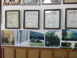 [P32] diplome si poze reprezentative. in ce a din mijloc este gospodaria bunicului meu » foto by adri-nico
 - 
<span class="allrVoted glyphicon glyphicon-heart hidden" id="av778652"></span>
<a class="m-l-10 hidden" id="sv778652" onclick="voting_Foto_DelVot(,778652,11147)" role="button">șterge vot <span class="glyphicon glyphicon-remove"></span></a>
<a id="v9778652" class=" c-red"  onclick="voting_Foto_SetVot(778652)" role="button"><span class="glyphicon glyphicon-heart-empty"></span> <b>LIKE</b> = Votează poza</a> <img class="hidden"  id="f778652W9" src="/imagini/loader.gif" border="0" /><span class="AjErrMes hidden" id="e778652ErM"></span>