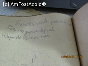 [P47] ginduri de dor de casa » foto by adri-nico
 - 
<span class="allrVoted glyphicon glyphicon-heart hidden" id="av778678"></span>
<a class="m-l-10 hidden" id="sv778678" onclick="voting_Foto_DelVot(,778678,11147)" role="button">șterge vot <span class="glyphicon glyphicon-remove"></span></a>
<a id="v9778678" class=" c-red"  onclick="voting_Foto_SetVot(778678)" role="button"><span class="glyphicon glyphicon-heart-empty"></span> <b>LIKE</b> = Votează poza</a> <img class="hidden"  id="f778678W9" src="/imagini/loader.gif" border="0" /><span class="AjErrMes hidden" id="e778678ErM"></span>