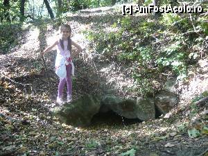 [P06] Intrarea în grota de la Curţile Zmeilor, altădată locuită de... zmei, acum năpădită de frunze - 2012 » foto by CO.COS1410
 - 
<span class="allrVoted glyphicon glyphicon-heart hidden" id="av377326"></span>
<a class="m-l-10 hidden" id="sv377326" onclick="voting_Foto_DelVot(,377326,11147)" role="button">șterge vot <span class="glyphicon glyphicon-remove"></span></a>
<a id="v9377326" class=" c-red"  onclick="voting_Foto_SetVot(377326)" role="button"><span class="glyphicon glyphicon-heart-empty"></span> <b>LIKE</b> = Votează poza</a> <img class="hidden"  id="f377326W9" src="/imagini/loader.gif" border="0" /><span class="AjErrMes hidden" id="e377326ErM"></span>
