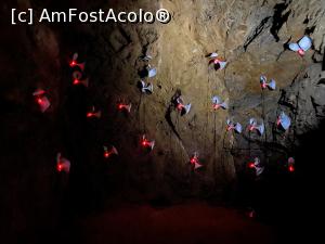[P08] Expozitie in catacombe. » foto by kalindera
 - 
<span class="allrVoted glyphicon glyphicon-heart hidden" id="av1253100"></span>
<a class="m-l-10 hidden" id="sv1253100" onclick="voting_Foto_DelVot(,1253100,11188)" role="button">șterge vot <span class="glyphicon glyphicon-remove"></span></a>
<a id="v91253100" class=" c-red"  onclick="voting_Foto_SetVot(1253100)" role="button"><span class="glyphicon glyphicon-heart-empty"></span> <b>LIKE</b> = Votează poza</a> <img class="hidden"  id="f1253100W9" src="/imagini/loader.gif" border="0" /><span class="AjErrMes hidden" id="e1253100ErM"></span>