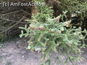 [P03] Simfonia lalelelor la Ecopark Varna » foto by nicole33
 - 
<span class="allrVoted glyphicon glyphicon-heart hidden" id="av1071325"></span>
<a class="m-l-10 hidden" id="sv1071325" onclick="voting_Foto_DelVot(,1071325,11202)" role="button">șterge vot <span class="glyphicon glyphicon-remove"></span></a>
<a id="v91071325" class=" c-red"  onclick="voting_Foto_SetVot(1071325)" role="button"><span class="glyphicon glyphicon-heart-empty"></span> <b>LIKE</b> = Votează poza</a> <img class="hidden"  id="f1071325W9" src="/imagini/loader.gif" border="0" /><span class="AjErrMes hidden" id="e1071325ErM"></span>
