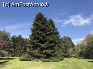 [P50] Ecopark Varna - alt brad frumos » foto by nicole33
 - 
<span class="allrVoted glyphicon glyphicon-heart hidden" id="av1071373"></span>
<a class="m-l-10 hidden" id="sv1071373" onclick="voting_Foto_DelVot(,1071373,11202)" role="button">șterge vot <span class="glyphicon glyphicon-remove"></span></a>
<a id="v91071373" class=" c-red"  onclick="voting_Foto_SetVot(1071373)" role="button"><span class="glyphicon glyphicon-heart-empty"></span> <b>LIKE</b> = Votează poza</a> <img class="hidden"  id="f1071373W9" src="/imagini/loader.gif" border="0" /><span class="AjErrMes hidden" id="e1071373ErM"></span>