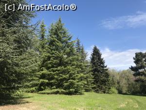 [P51] Ecopark Varna - brazii » foto by nicole33
 - 
<span class="allrVoted glyphicon glyphicon-heart hidden" id="av1071374"></span>
<a class="m-l-10 hidden" id="sv1071374" onclick="voting_Foto_DelVot(,1071374,11202)" role="button">șterge vot <span class="glyphicon glyphicon-remove"></span></a>
<a id="v91071374" class=" c-red"  onclick="voting_Foto_SetVot(1071374)" role="button"><span class="glyphicon glyphicon-heart-empty"></span> <b>LIKE</b> = Votează poza</a> <img class="hidden"  id="f1071374W9" src="/imagini/loader.gif" border="0" /><span class="AjErrMes hidden" id="e1071374ErM"></span>