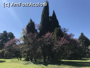 [P52] Ecopark Varna » foto by nicole33
 - 
<span class="allrVoted glyphicon glyphicon-heart hidden" id="av1071375"></span>
<a class="m-l-10 hidden" id="sv1071375" onclick="voting_Foto_DelVot(,1071375,11202)" role="button">șterge vot <span class="glyphicon glyphicon-remove"></span></a>
<a id="v91071375" class=" c-red"  onclick="voting_Foto_SetVot(1071375)" role="button"><span class="glyphicon glyphicon-heart-empty"></span> <b>LIKE</b> = Votează poza</a> <img class="hidden"  id="f1071375W9" src="/imagini/loader.gif" border="0" /><span class="AjErrMes hidden" id="e1071375ErM"></span>