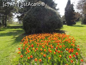 [P10] Frumuseţe la superlativ în Grădina Botanică din Sf. Constantin şi Elena » foto by irinad
 - 
<span class="allrVoted glyphicon glyphicon-heart hidden" id="av848408"></span>
<a class="m-l-10 hidden" id="sv848408" onclick="voting_Foto_DelVot(,848408,11202)" role="button">șterge vot <span class="glyphicon glyphicon-remove"></span></a>
<a id="v9848408" class=" c-red"  onclick="voting_Foto_SetVot(848408)" role="button"><span class="glyphicon glyphicon-heart-empty"></span> <b>LIKE</b> = Votează poza</a> <img class="hidden"  id="f848408W9" src="/imagini/loader.gif" border="0" /><span class="AjErrMes hidden" id="e848408ErM"></span>