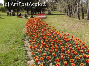 [P06] Simfonie de culori la Grădina Botanică din Sf. Constantin şi Elena » foto by irinad
 - 
<span class="allrVoted glyphicon glyphicon-heart hidden" id="av848404"></span>
<a class="m-l-10 hidden" id="sv848404" onclick="voting_Foto_DelVot(,848404,11202)" role="button">șterge vot <span class="glyphicon glyphicon-remove"></span></a>
<a id="v9848404" class=" c-red"  onclick="voting_Foto_SetVot(848404)" role="button"><span class="glyphicon glyphicon-heart-empty"></span> <b>LIKE</b> = Votează poza</a> <img class="hidden"  id="f848404W9" src="/imagini/loader.gif" border="0" /><span class="AjErrMes hidden" id="e848404ErM"></span>