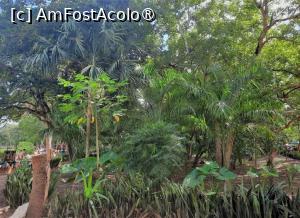 [P04] Jungla înconjoară Chichen Itza » foto by BOGDAN DSN
 - 
<span class="allrVoted glyphicon glyphicon-heart hidden" id="av1413286"></span>
<a class="m-l-10 hidden" id="sv1413286" onclick="voting_Foto_DelVot(,1413286,11225)" role="button">șterge vot <span class="glyphicon glyphicon-remove"></span></a>
<a id="v91413286" class=" c-red"  onclick="voting_Foto_SetVot(1413286)" role="button"><span class="glyphicon glyphicon-heart-empty"></span> <b>LIKE</b> = Votează poza</a> <img class="hidden"  id="f1413286W9" src="/imagini/loader.gif" border="0" /><span class="AjErrMes hidden" id="e1413286ErM"></span>