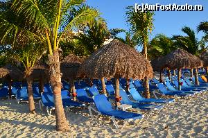 [P17] imagini de pe plaja din resort... arata ok, nu? :)  » foto by Richard
 - 
<span class="allrVoted glyphicon glyphicon-heart hidden" id="av610391"></span>
<a class="m-l-10 hidden" id="sv610391" onclick="voting_Foto_DelVot(,610391,11226)" role="button">șterge vot <span class="glyphicon glyphicon-remove"></span></a>
<a id="v9610391" class=" c-red"  onclick="voting_Foto_SetVot(610391)" role="button"><span class="glyphicon glyphicon-heart-empty"></span> <b>LIKE</b> = Votează poza</a> <img class="hidden"  id="f610391W9" src="/imagini/loader.gif" border="0" /><span class="AjErrMes hidden" id="e610391ErM"></span>