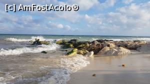 [P04] Plaja Playa del Carmen » foto by adina.blondutza
 - 
<span class="allrVoted glyphicon glyphicon-heart hidden" id="av1023744"></span>
<a class="m-l-10 hidden" id="sv1023744" onclick="voting_Foto_DelVot(,1023744,11226)" role="button">șterge vot <span class="glyphicon glyphicon-remove"></span></a>
<a id="v91023744" class=" c-red"  onclick="voting_Foto_SetVot(1023744)" role="button"><span class="glyphicon glyphicon-heart-empty"></span> <b>LIKE</b> = Votează poza</a> <img class="hidden"  id="f1023744W9" src="/imagini/loader.gif" border="0" /><span class="AjErrMes hidden" id="e1023744ErM"></span>