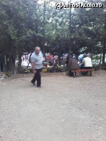 [P03]  -- <small>// FĂRĂ DESCRIERE</small> » foto by danamandache
 - 
<span class="allrVoted glyphicon glyphicon-heart hidden" id="av471054"></span>
<a class="m-l-10 hidden" id="sv471054" onclick="voting_Foto_DelVot(,471054,11234)" role="button">șterge vot <span class="glyphicon glyphicon-remove"></span></a>
<a id="v9471054" class=" c-red"  onclick="voting_Foto_SetVot(471054)" role="button"><span class="glyphicon glyphicon-heart-empty"></span> <b>LIKE</b> = Votează poza</a> <img class="hidden"  id="f471054W9" src="/imagini/loader.gif" border="0" /><span class="AjErrMes hidden" id="e471054ErM"></span>