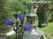 [P04] Manastirea Prislop , ea insasi o floare si un clopotel » foto by sunflower
 - 
<span class="allrVoted glyphicon glyphicon-heart hidden" id="av304377"></span>
<a class="m-l-10 hidden" id="sv304377" onclick="voting_Foto_DelVot(,304377,11234)" role="button">șterge vot <span class="glyphicon glyphicon-remove"></span></a>
<a id="v9304377" class=" c-red"  onclick="voting_Foto_SetVot(304377)" role="button"><span class="glyphicon glyphicon-heart-empty"></span> <b>LIKE</b> = Votează poza</a> <img class="hidden"  id="f304377W9" src="/imagini/loader.gif" border="0" /><span class="AjErrMes hidden" id="e304377ErM"></span>