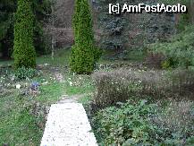 [P06] Manastirea Prislop, jud. Hunedoara: parcul manastirii » foto by corinka
 - 
<span class="allrVoted glyphicon glyphicon-heart hidden" id="av59731"></span>
<a class="m-l-10 hidden" id="sv59731" onclick="voting_Foto_DelVot(,59731,11234)" role="button">șterge vot <span class="glyphicon glyphicon-remove"></span></a>
<a id="v959731" class=" c-red"  onclick="voting_Foto_SetVot(59731)" role="button"><span class="glyphicon glyphicon-heart-empty"></span> <b>LIKE</b> = Votează poza</a> <img class="hidden"  id="f59731W9" src="/imagini/loader.gif" border="0" /><span class="AjErrMes hidden" id="e59731ErM"></span>