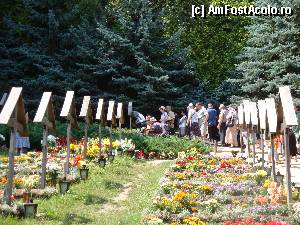 [P10] Mănăstirea Prislop: lângă Mormântul Cuviosului Părinte Arsenie Boca » foto by mariana.olaru
 - 
<span class="allrVoted glyphicon glyphicon-heart hidden" id="av385988"></span>
<a class="m-l-10 hidden" id="sv385988" onclick="voting_Foto_DelVot(,385988,11234)" role="button">șterge vot <span class="glyphicon glyphicon-remove"></span></a>
<a id="v9385988" class=" c-red"  onclick="voting_Foto_SetVot(385988)" role="button"><span class="glyphicon glyphicon-heart-empty"></span> <b>LIKE</b> = Votează poza</a> <img class="hidden"  id="f385988W9" src="/imagini/loader.gif" border="0" /><span class="AjErrMes hidden" id="e385988ErM"></span>
