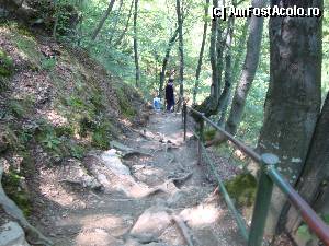 [P24] Mănăstirea Prislop: în drum spre Peștera Cuviosului Sihastru Ioan de la Prislop » foto by mariana.olaru
 - 
<span class="allrVoted glyphicon glyphicon-heart hidden" id="av386016"></span>
<a class="m-l-10 hidden" id="sv386016" onclick="voting_Foto_DelVot(,386016,11234)" role="button">șterge vot <span class="glyphicon glyphicon-remove"></span></a>
<a id="v9386016" class=" c-red"  onclick="voting_Foto_SetVot(386016)" role="button"><span class="glyphicon glyphicon-heart-empty"></span> <b>LIKE</b> = Votează poza</a> <img class="hidden"  id="f386016W9" src="/imagini/loader.gif" border="0" /><span class="AjErrMes hidden" id="e386016ErM"></span>