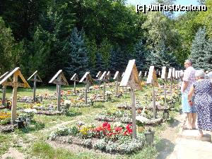 [P08] Mănăstirea Prislop: în drum spre Mormântul Cuviosului Părinte Arsenie Boca trecem pe lângă celelalte morminte din cimitirul monahal » foto by mariana.olaru
 - 
<span class="allrVoted glyphicon glyphicon-heart hidden" id="av385986"></span>
<a class="m-l-10 hidden" id="sv385986" onclick="voting_Foto_DelVot(,385986,11234)" role="button">șterge vot <span class="glyphicon glyphicon-remove"></span></a>
<a id="v9385986" class=" c-red"  onclick="voting_Foto_SetVot(385986)" role="button"><span class="glyphicon glyphicon-heart-empty"></span> <b>LIKE</b> = Votează poza</a> <img class="hidden"  id="f385986W9" src="/imagini/loader.gif" border="0" /><span class="AjErrMes hidden" id="e385986ErM"></span>